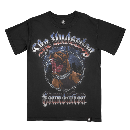 The "Big Dog" T-shirt